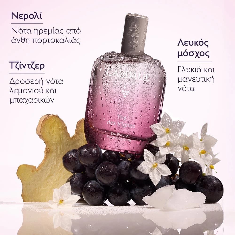Caudalie Thé des Vignes Fresh Fragrance 50ml – Γυναικείο Άρωμα Καλλυντικά