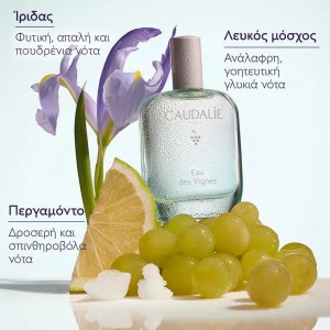 Caudalie Eau des Vignes Fresh Fragrance 50ml – Γυναικείο Άρωμα Καλλυντικά