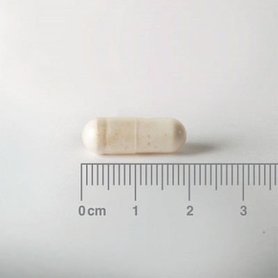 Lamberts Acidophilus Extra 4 – Προβιοτικό 4 Δισ. Μονάδων Χωρίς Γάλα για Πεπτική Υγεία