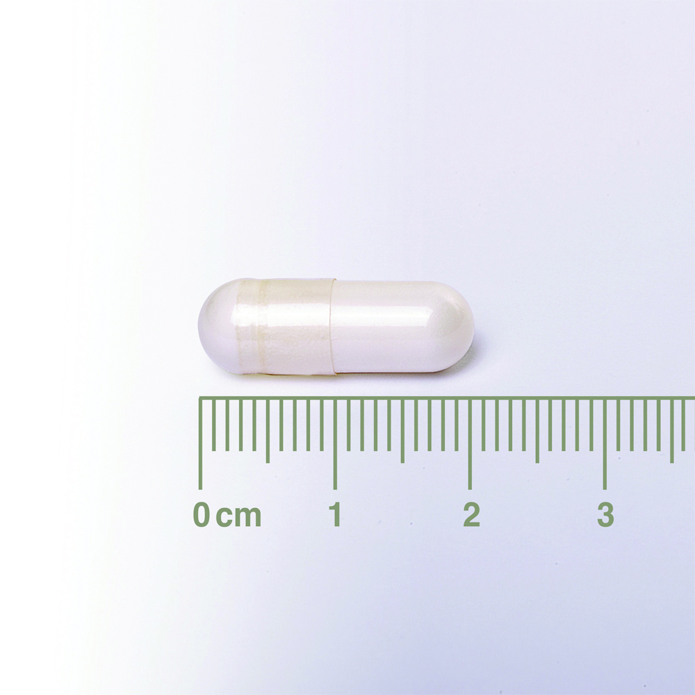 Lamberts Neuro-Logical 60caps – Υποστήριξη Νευρικού Συστήματος & Εγκεφαλικής Λειτουργίας Συμπληρώματα διατροφής
