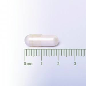Lamberts Neuro-Logical 60caps – Υποστήριξη Νευρικού Συστήματος & Εγκεφαλικής Λειτουργίας Συμπληρώματα διατροφής