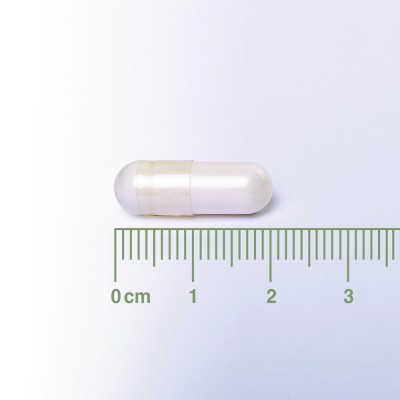 Lamberts Neuro-Logical 60caps – Υποστήριξη Νευρικού Συστήματος & Εγκεφαλικής Λειτουργίας