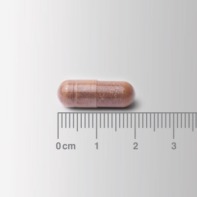 Lamberts Cogni-Focus Galangal Extract – 30 Φυτικές Κάψουλες για Ενίσχυση Μνήμης & Συγκέντρωσης