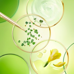 Nuxe Nuxuriance Ultra Crème Nuit – Αντιγηραντική Κρέμα Νύχτας για Όλους τους Τύπους Δέρματος 50ml Καλλυντικά