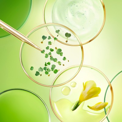 Nuxe Nuxuriance Ultra Crème Nuit – Αντιγηραντική Κρέμα Νύχτας για Όλους τους Τύπους Δέρματος 50ml